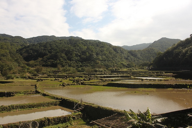 Caoling Historic Trail (草嶺古道) – El paso histórico de Caoling