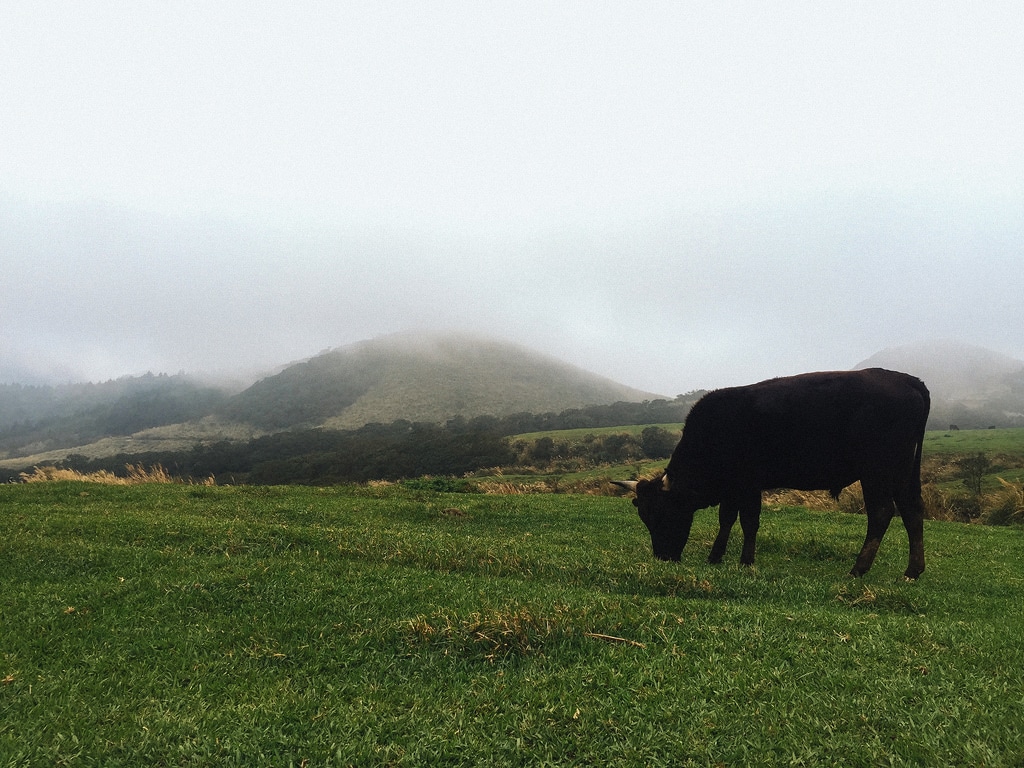 En Yangmingshan de ruta: De Lengshuikeng a Bayen